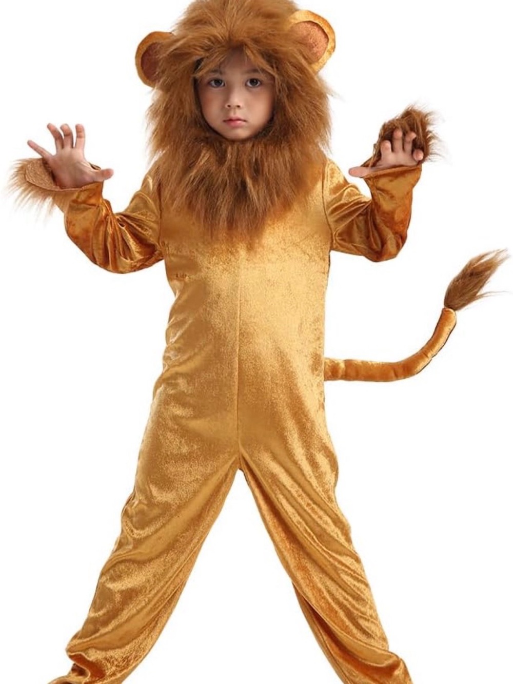 Lion Costume - Picture 4 of 4